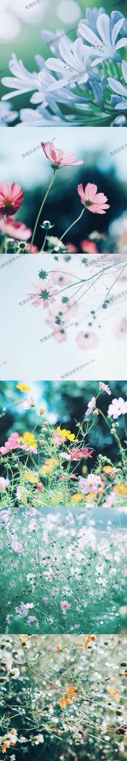 kuri_ccc303日系摄影师电子合集作品集参考素材审美提升[229P-18.64 MB]