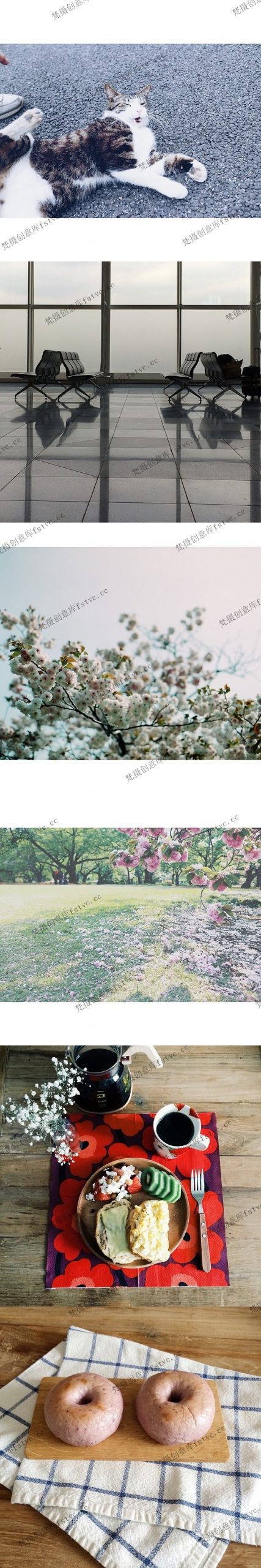 图片[1]-lovephotoy日系摄影电子图集作品集审美提升参考素材集[2661P-11V 494.62 MB]-梵摄创意库