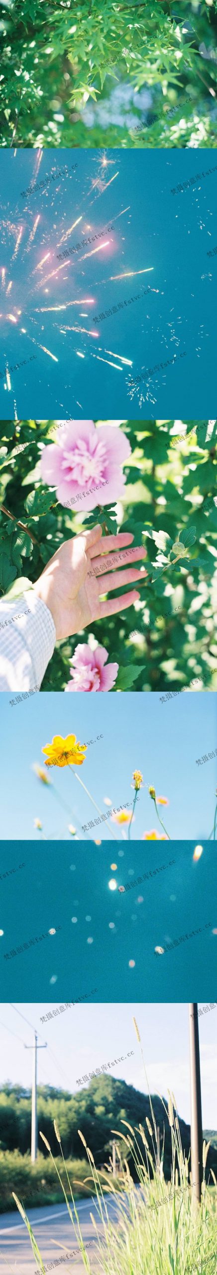 图片[1]-tarukihayashi日系摄影作品集电子合集素材审美提升参考[1195P-3V 104.54 MB]-梵摄创意库