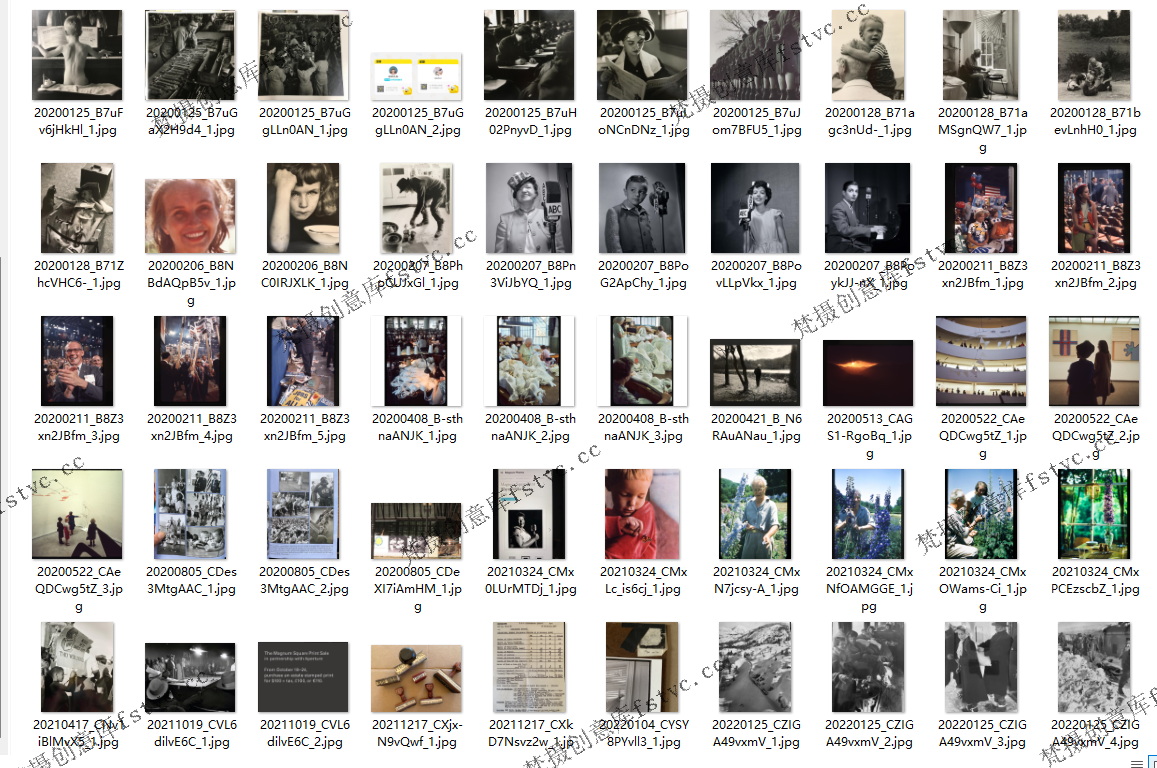 图片[1]-WayneMiller玛格南黑人纪实摄影大师电子合集审美提升素材[86P-14.2 MB]-梵摄创意库