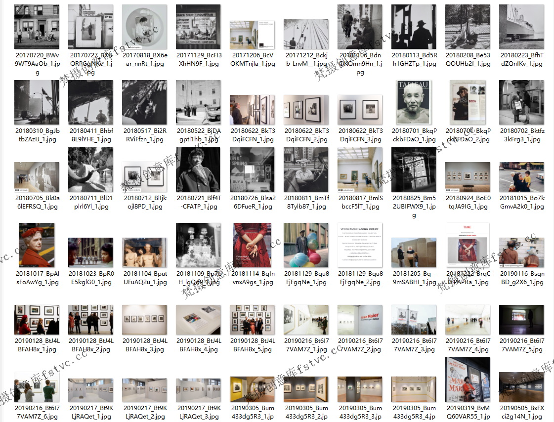 薇薇安迈尔VivianMaier美国写实街拍摄影大师作品集电子合集素材172P-23.5 MB