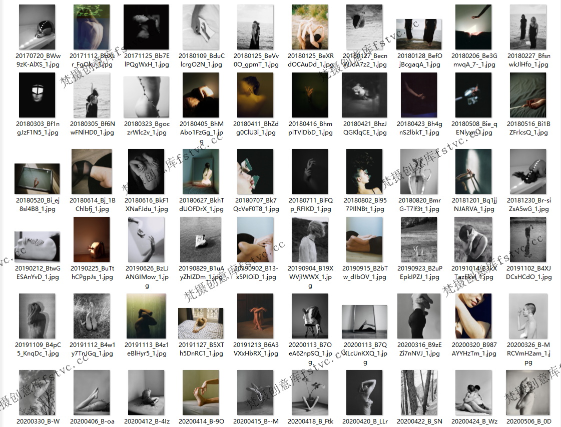 DafbuPlanta瑞士艺术摄影大师作品集电子合集295P-81.65 MB