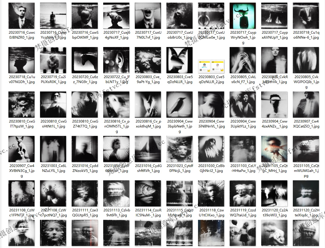 ShooMarsRae乌克兰视觉摄影图集超现实电子合集105P-50.23 MB
