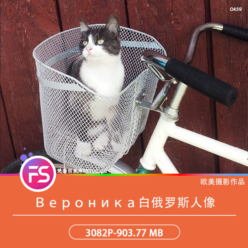 Вероника白俄罗斯人像摄影斯拉夫风情电子合集审美提升3082P-903.77 MB-梵摄创意库