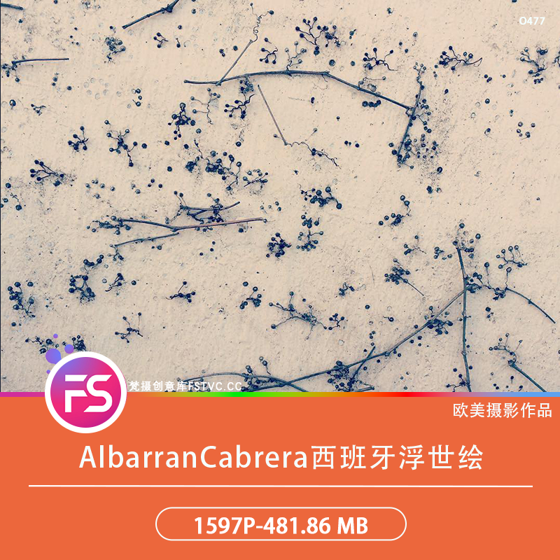 AlbarranCabrera西班牙浮世绘摄影东方美学电子合集1597P-481.86 MB-梵摄创意库