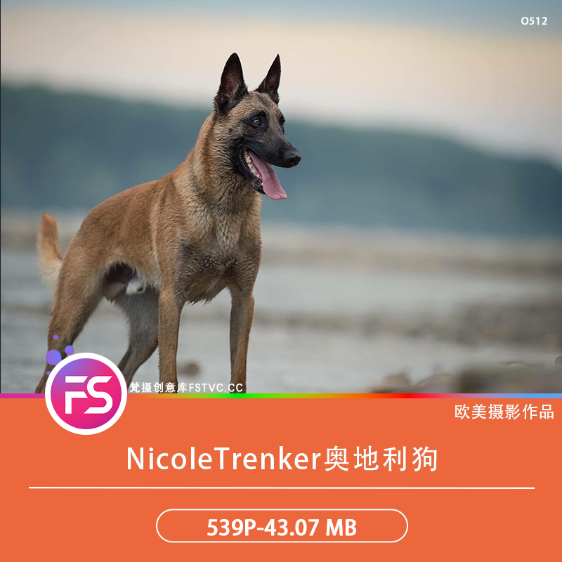 NicoleTrenker奥地利宠物摄影萌宠治愈电子合集柔光美学539P-43.07 MB-梵摄创意库