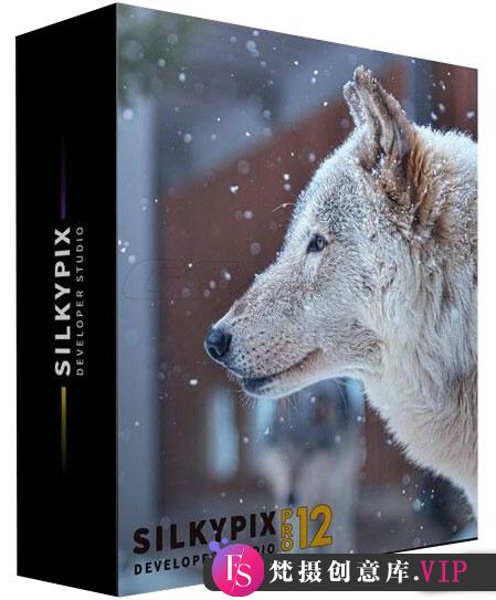 SILKYPIX Developer Studio Pro 12.0.4.0 x64汉化版WIN版图片处理RAW图像软件-梵摄创意库