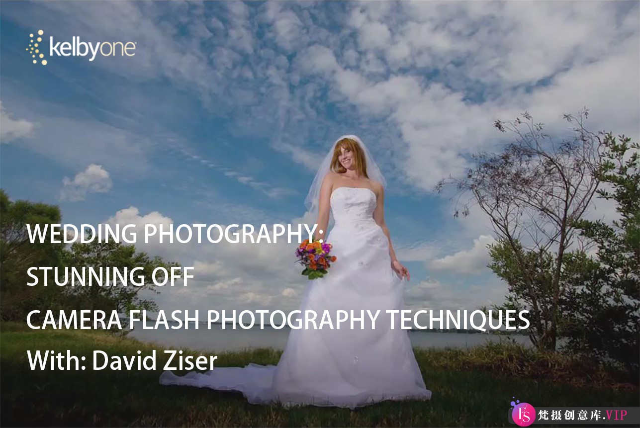 David Ziser婚纱摄影布光构图技术完整指南教程（中英字幕）：婚纱摄影必学教程