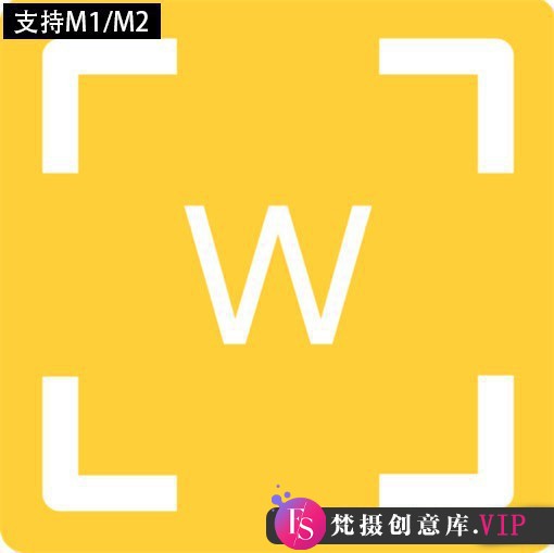 Perfectly Clear Workbench for Mac(AI图像清晰细节修复) v4.6.1.2736中文版