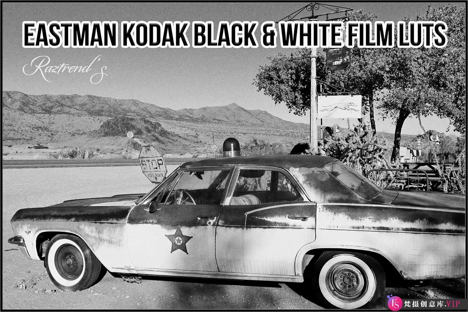 柯达黑白胶片专属 LUT 调色预设：Eastman Kodak Black White Films LUTs