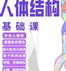大木人体结构基础课第13期【画质高清有课件】