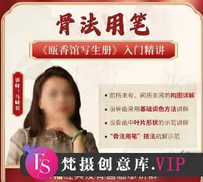 国画马啸羽骨法用笔之瓯香馆写生册入门精讲2024【画质不错有课件】