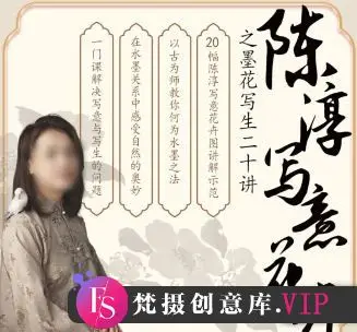 国画马啸羽陈淳写意花卉之墨花写生二十讲2024【画质不错有课件】