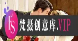 阿花商业婚礼系统课第1期【画质还可以有课件笔刷】