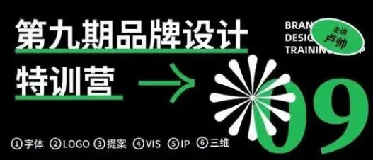 卢帅品牌设计特训营第9期2021年【画质高清有大部分素材】