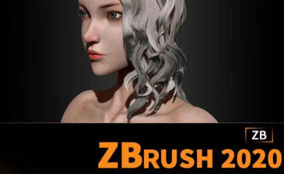 周达学Zbrush2020入门教程【画质还行只有视频】