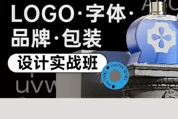 卢帅logo字体品牌包装设计实战班第5期2022【画质不错有大部分素材】