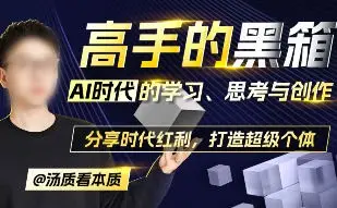 【缺】汤质看本质高手黑箱AI时代学习、思考与创作【画质高清只有视频】