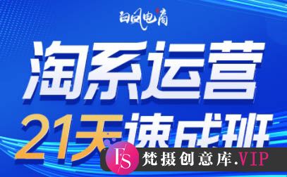 白凤电商·淘系运营21天速成班(更新7月)-梵摄网创