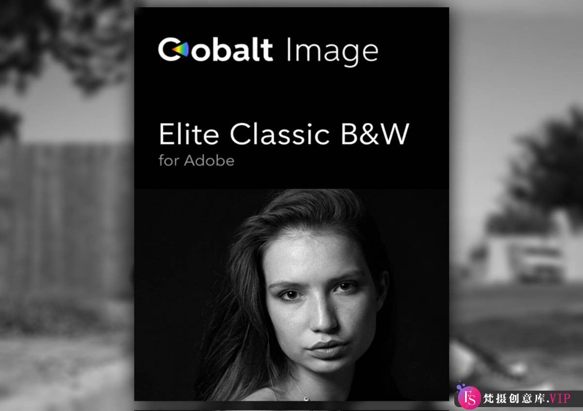 柯达黑白胶卷电影胶片风格LR预设：Elite Classic B&W Lightroom Preset