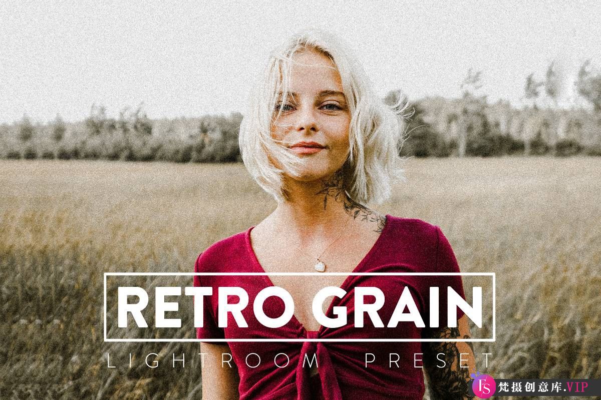 胶片LR预设10种复古电影颗粒胶片纹理Lightroom预设 RETRO GRAIN Lightroom Presets