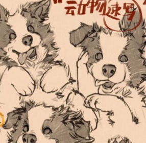 凶猛悍兔动物插画速写课2025【画质高清有笔刷素材】