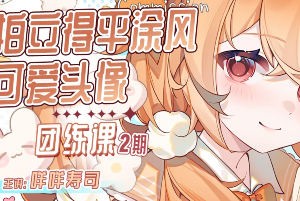 咩咩寿司拍立得平涂头像团练课第2期2025【画质高清有课件图片】