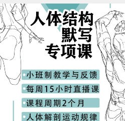 衍知行人体结构默写专项课【画质高清只有视频】