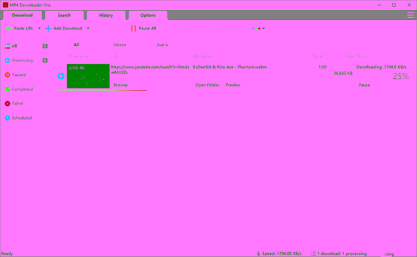 MP4-Downloader-Pro