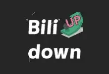 Bilidown(B站视频下载工具) v1.2.7 中文绿色版