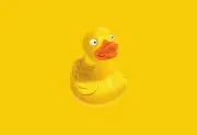 Cyberduck(免费FTP/SFTP客户端) v9.3.1.44136 最新版
