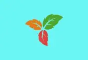 Trilium Notes(笔记应用程序) v0.101.3 中文绿色版