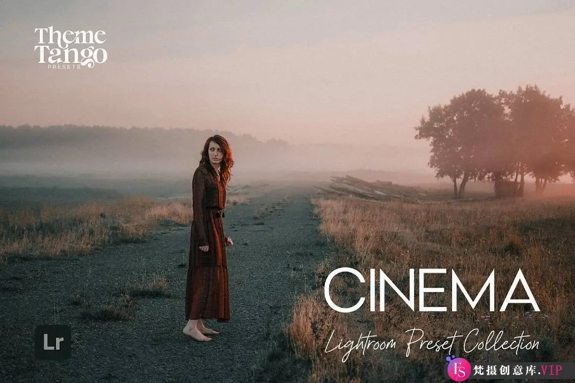 胶片LR预设戏剧性电美感后期调色Lightroom预设 Cinematic Lightroom Presets