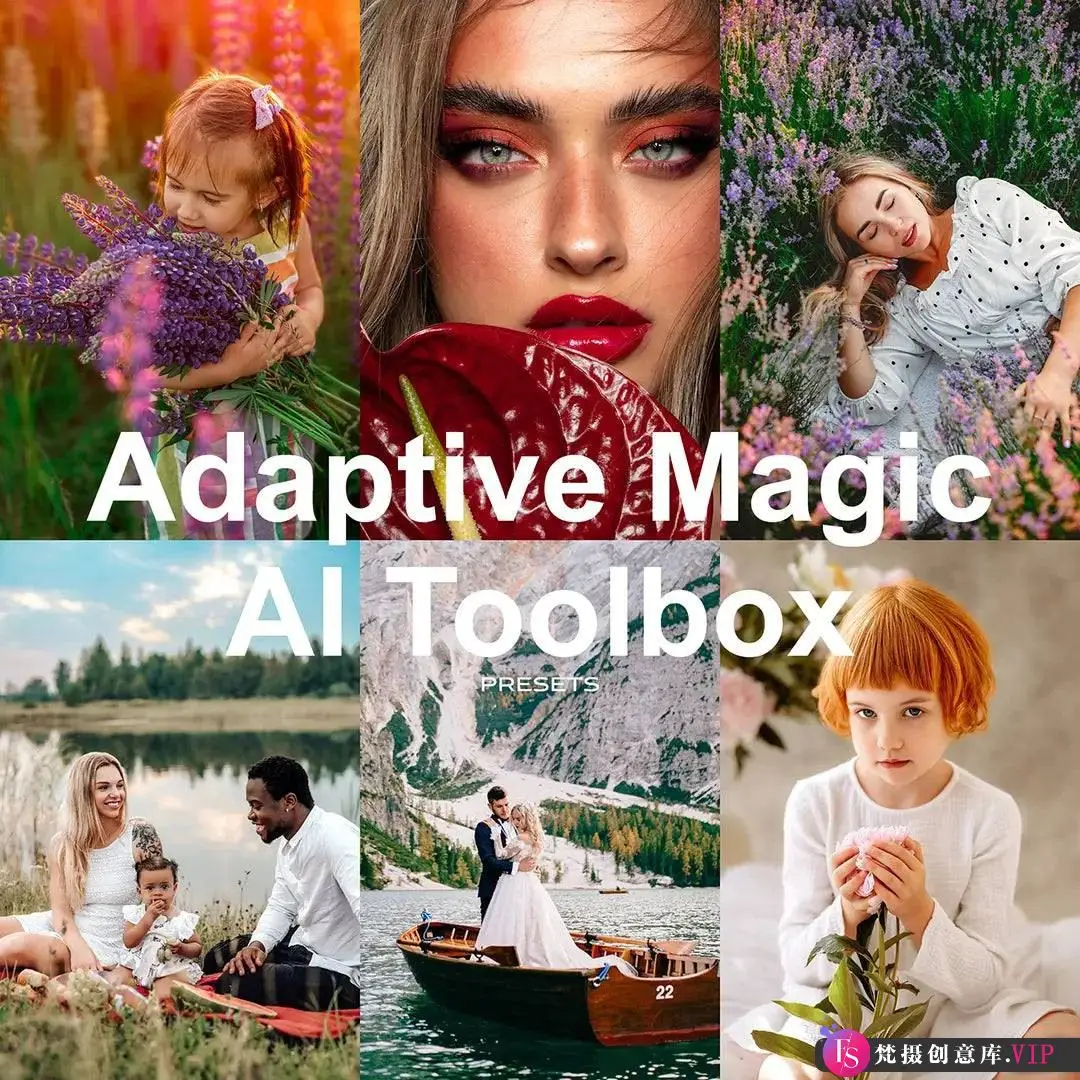 AI智能lr预设230种全能摄影AI自适应工具箱 AI Preset Lab-Adaptive AI Toolbox
