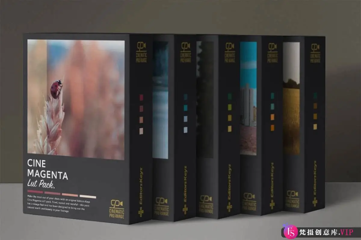专业版电影剪辑后期调色LUT预设5套合集 Cinematic PRO Lut 5 Pack