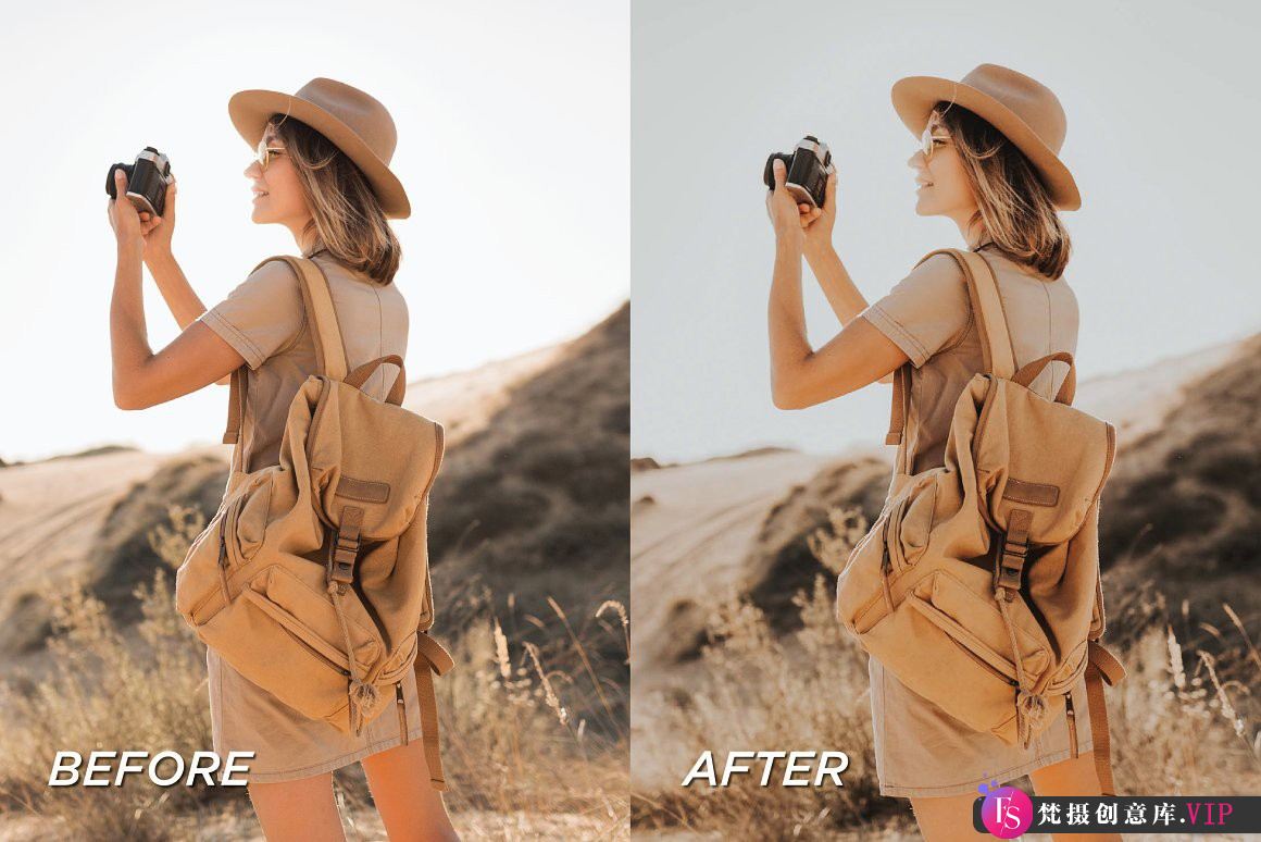旅拍野生动物调色LR预设+手机调色滤镜 Safari Lightroom Presets-Lightroom预设