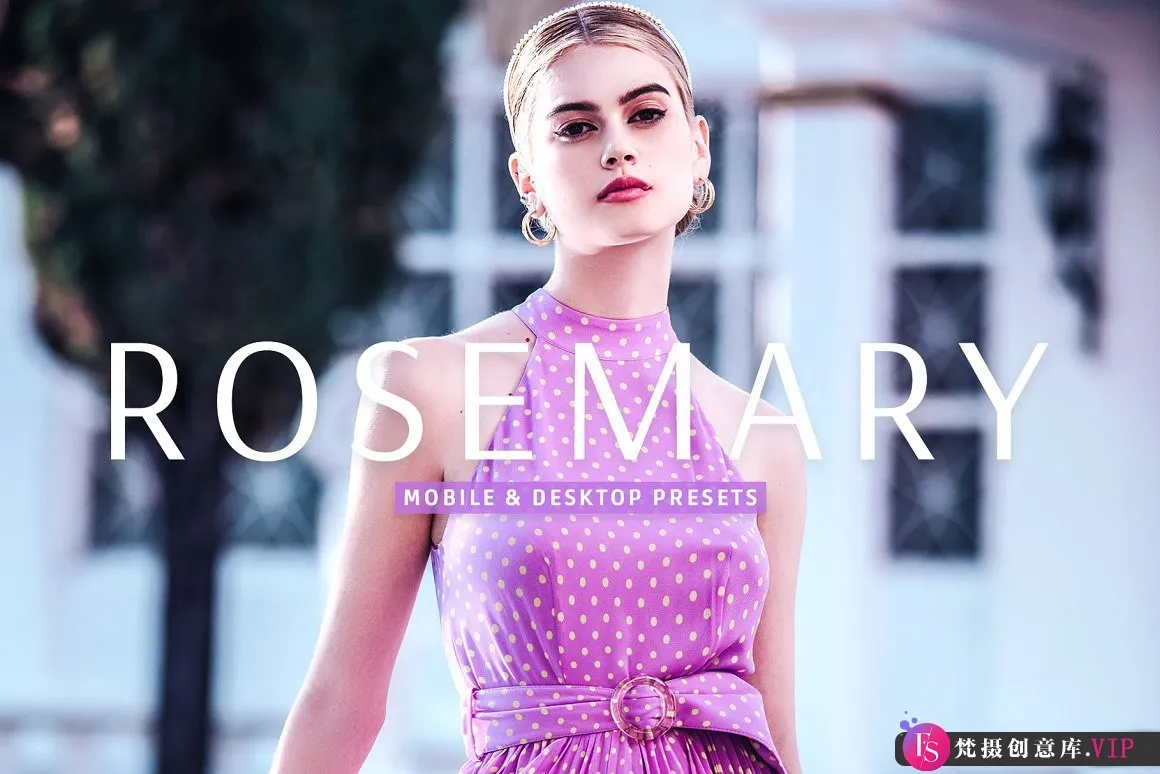 复古胶片人像调色LR预设与手机调色滤镜 Rosemary Lightroom Presets-Lightroom预设