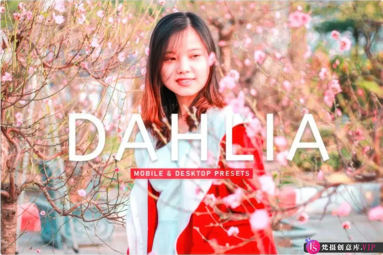电影胶片人像调色LR预设 Dahlia Pro Lightroom Presets-Lightroom预设