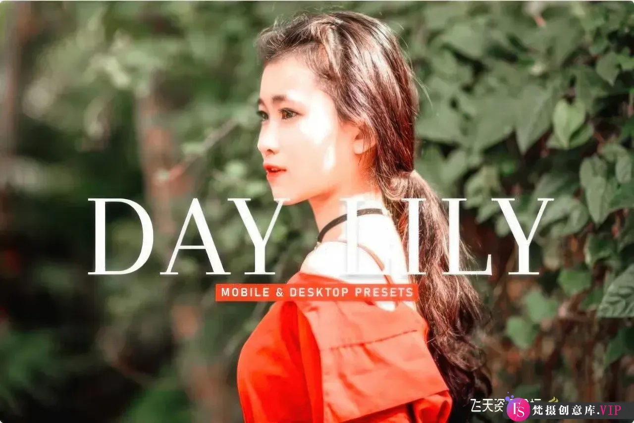 正午阳光人像调色LR预设 Day Lily Lightroom Prese-Lightroom预设