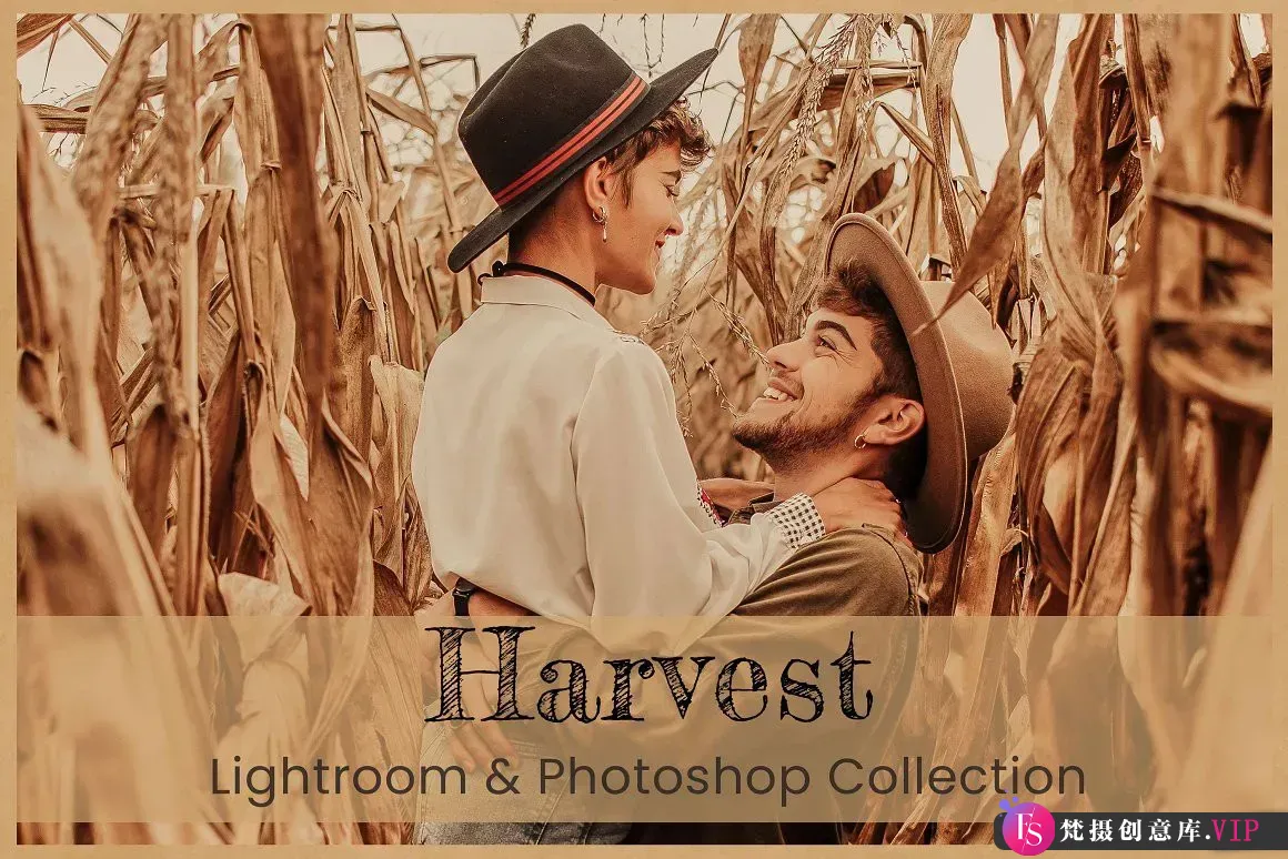 秋季人像后期调色Lr预设及LUT调色预设 Harvest Lightroom LUTs-Lightroom预设