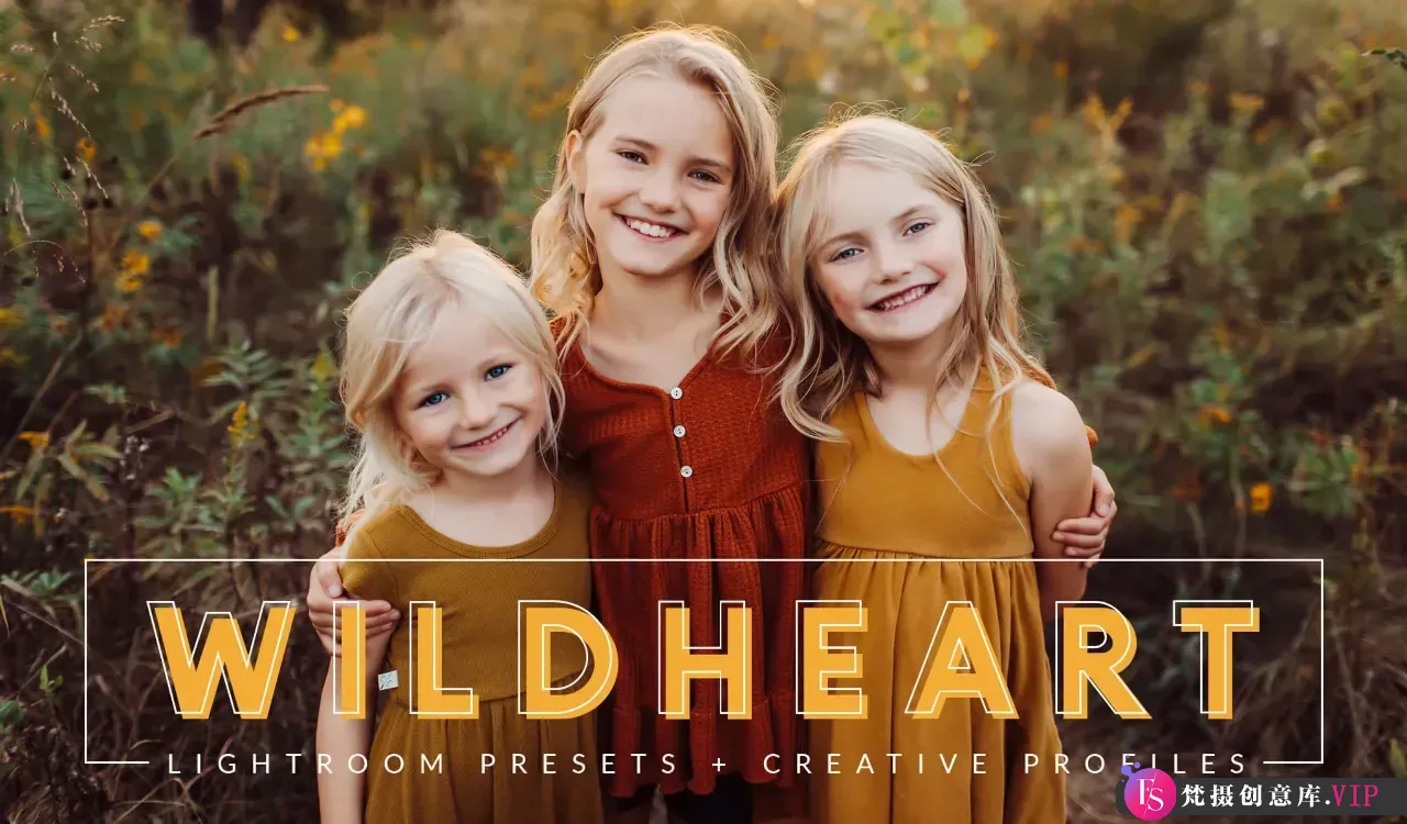 Pretty Presets-浓郁大地色彩LR预设 WILDHEART Evolution Preset-Lightroom预设