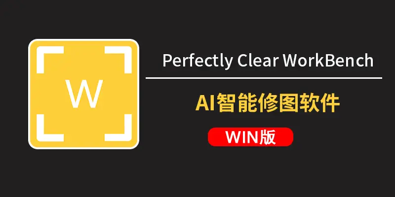 Perfectly Clear WorkBench v5.1.0.3190 AI智能修图软件WIN X64