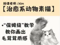 kim治愈系宠物素描2025【画质不错有资料】