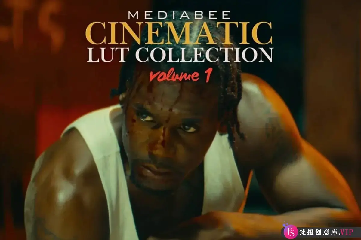 好莱坞怀旧叙事电影风格化LUT预设 MEDIABEE CINEMATIC LUTS